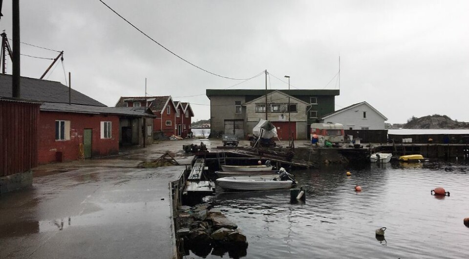Flekkerøy har doblet innbyggertallet på 26 år
