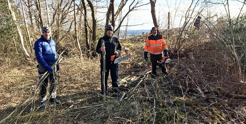 Flekkerøy: Den nye perla ved Krageviga blir kanonbra