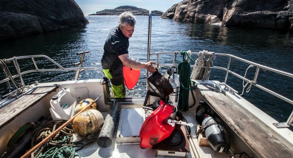 Se bildene: Forsøpling av Søgne-skjærgården
