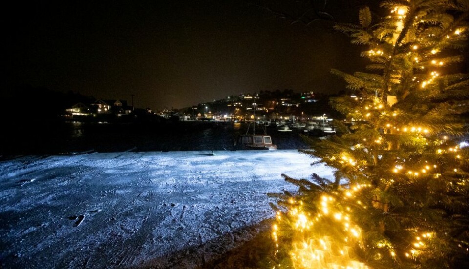 Julegrantenning og fakkeltog i Høllen. Se bildene