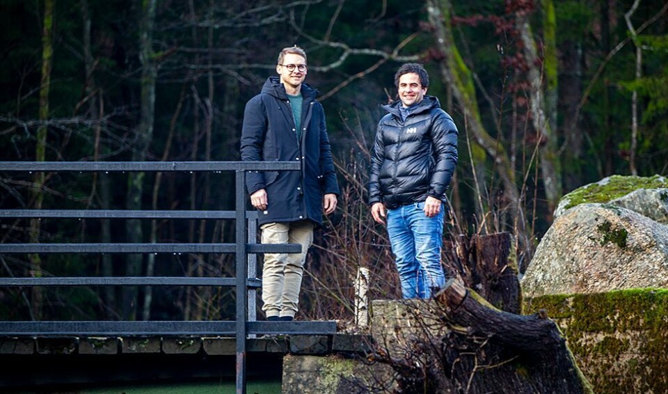 - Drømmen har gått i oppfyllelse