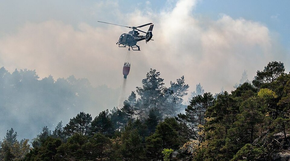 Høynet skogbrannberedskap: Skogbrannhelikopter i Agder i pinsen