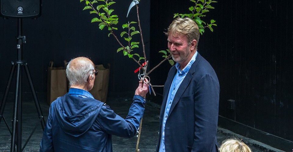 - Ser ut som det alltid har stått der