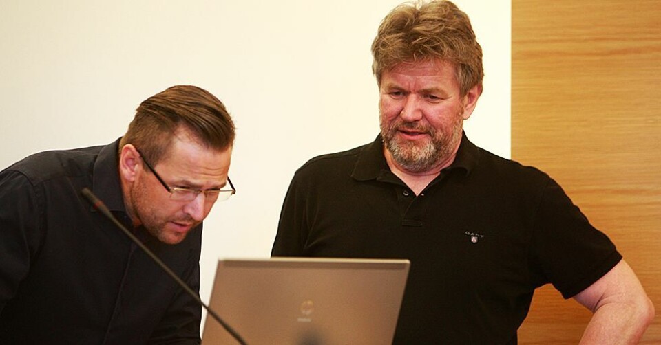17 innspill til mulighetsstudie for Høllen