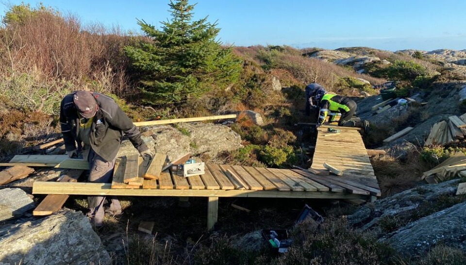 Ønsker hjelp: Skaugjengen har flyttet fra Krageviga til «Daudmanns»