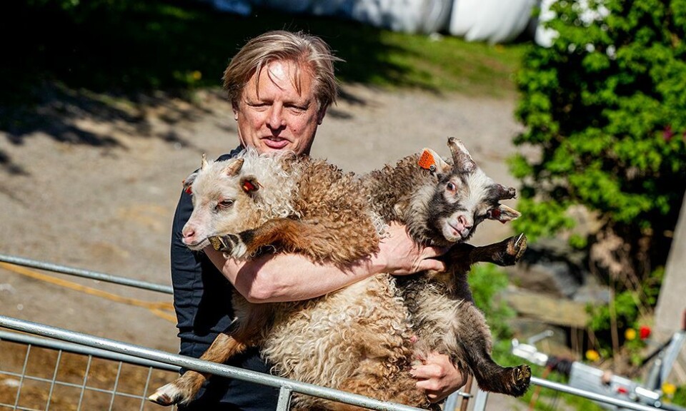 Erna møter Erna, og Harald møter Harald mandag