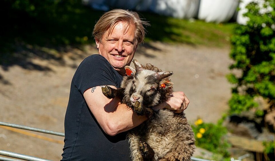 Erna møter Erna, og Harald møter Harald mandag