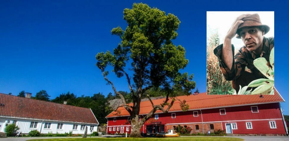 Asbjørn Ribe - på prestegården en fredag i oktober
