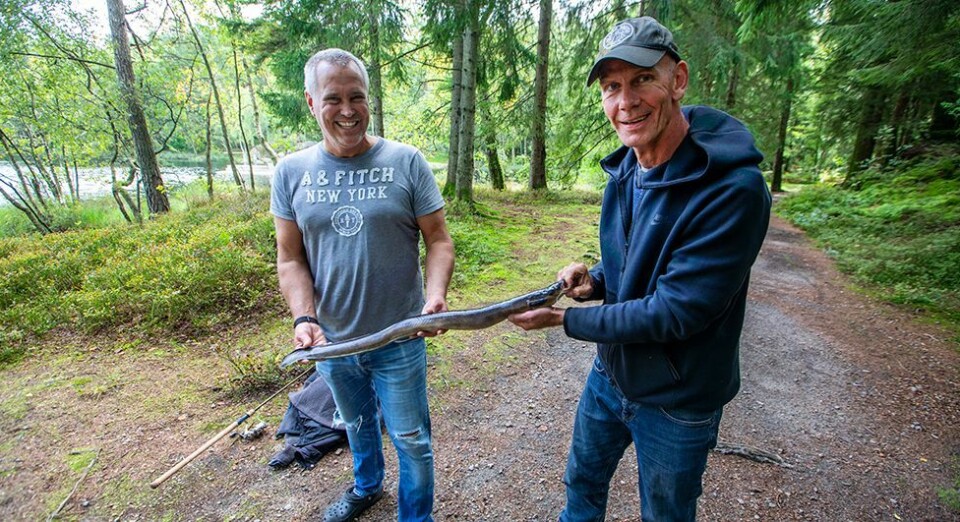 Uvanlig fangst i Eiketjønna