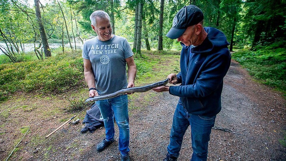 Uvanlig fangst i Eiketjønna