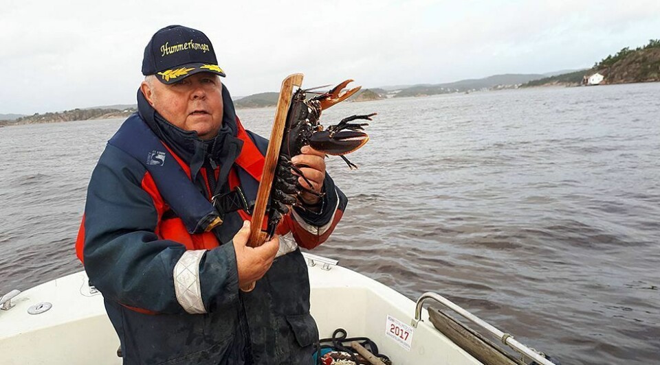 Hummerfisket 2018: Husk råtnetråd