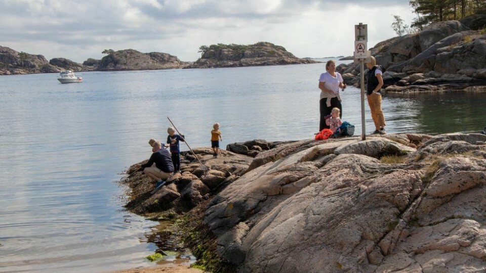 - Livet i fjæra er det mest spennende