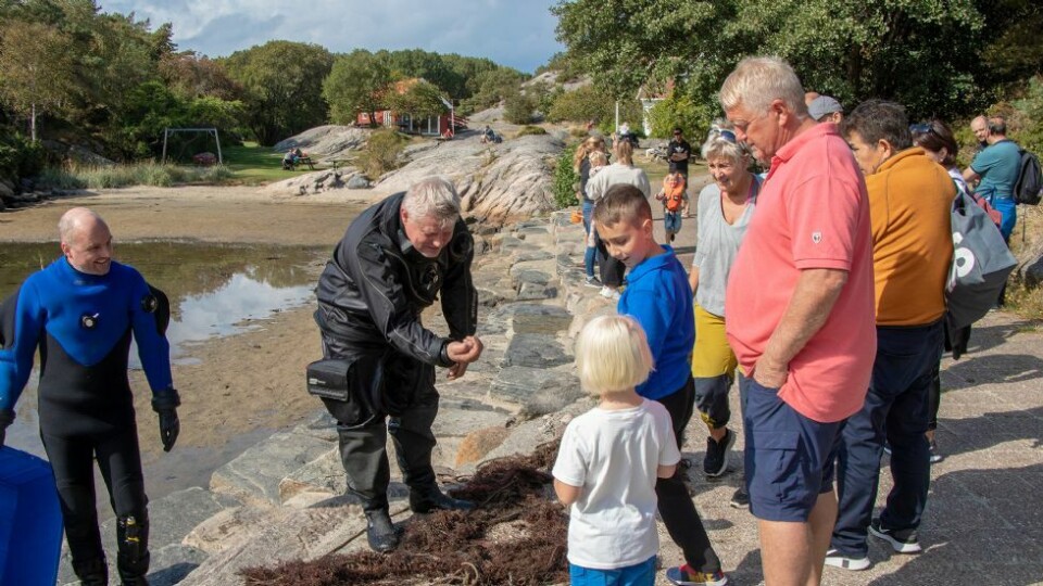 - Livet i fjæra er det mest spennende