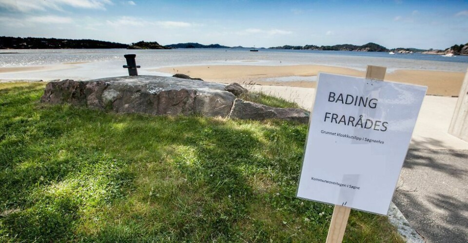 Minimal effekt av utslipp til elva