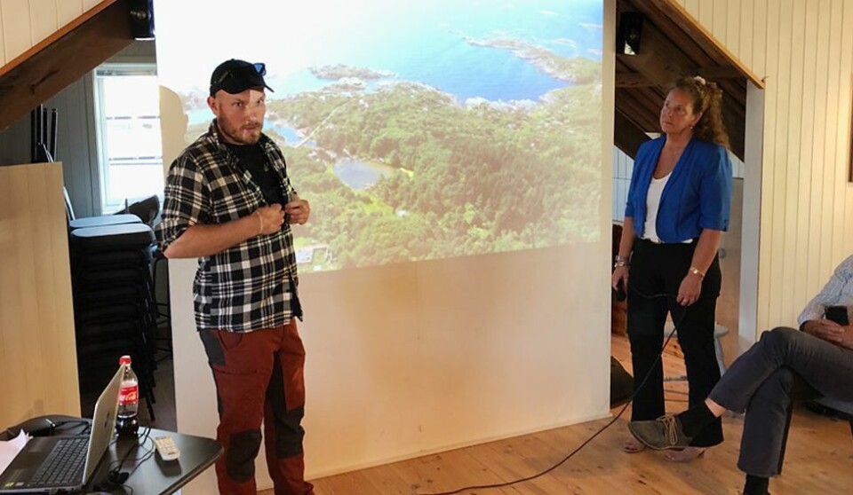 Over 1.500 trær skal fjernes på Flekkerøy