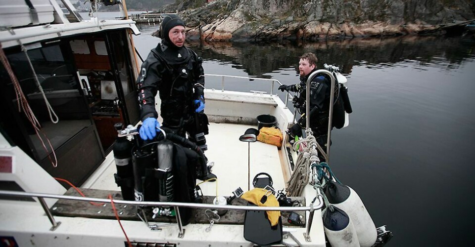 Se hva dykkere fant i Ny-Hellesund i helgen