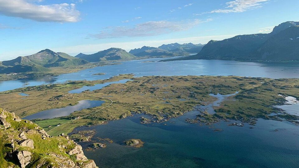 Lofoten leverer