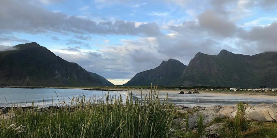Lofoten leverer
