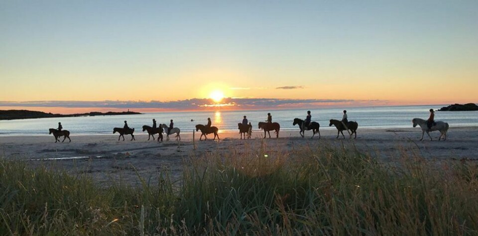Lofoten leverer