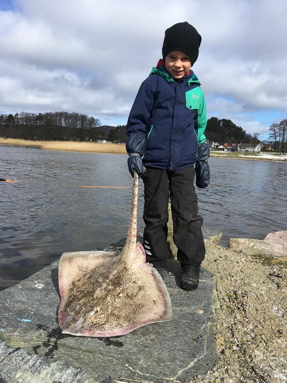 Er denne fisken vanlig?