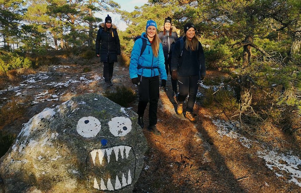 Ny gapahuk på Svarteheia