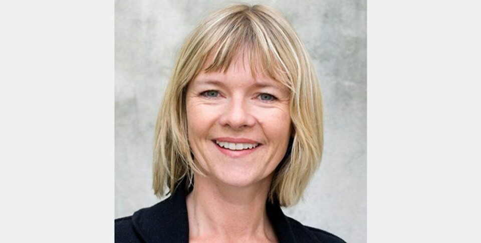 Forserer Hølleveiplanene