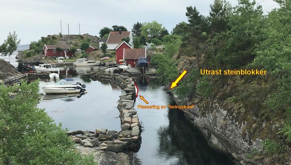 Foreslår to-trinns løsning ved hummerparken