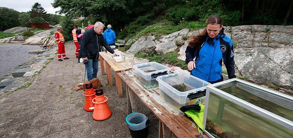 Familiedag i Romsviga og Helleviga