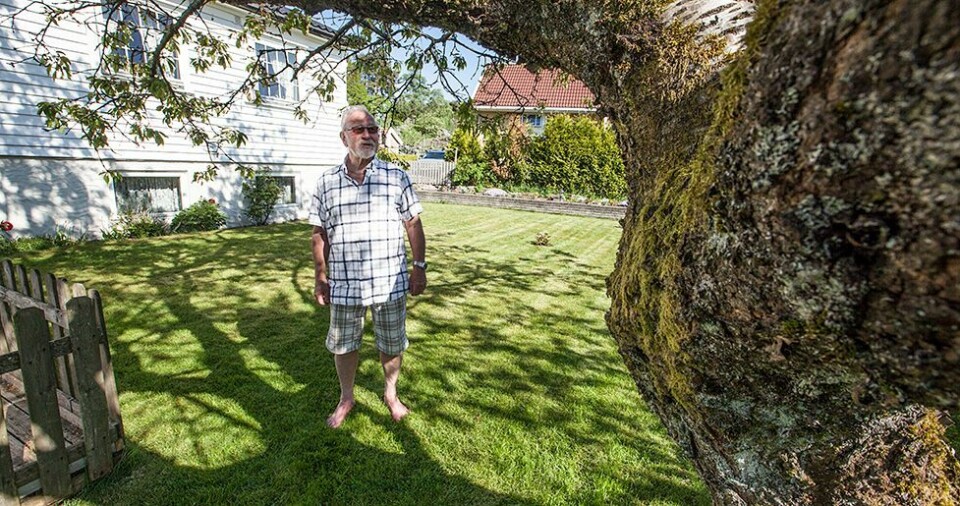 Magne var syk i en måned etter kontakt med skjærereir
