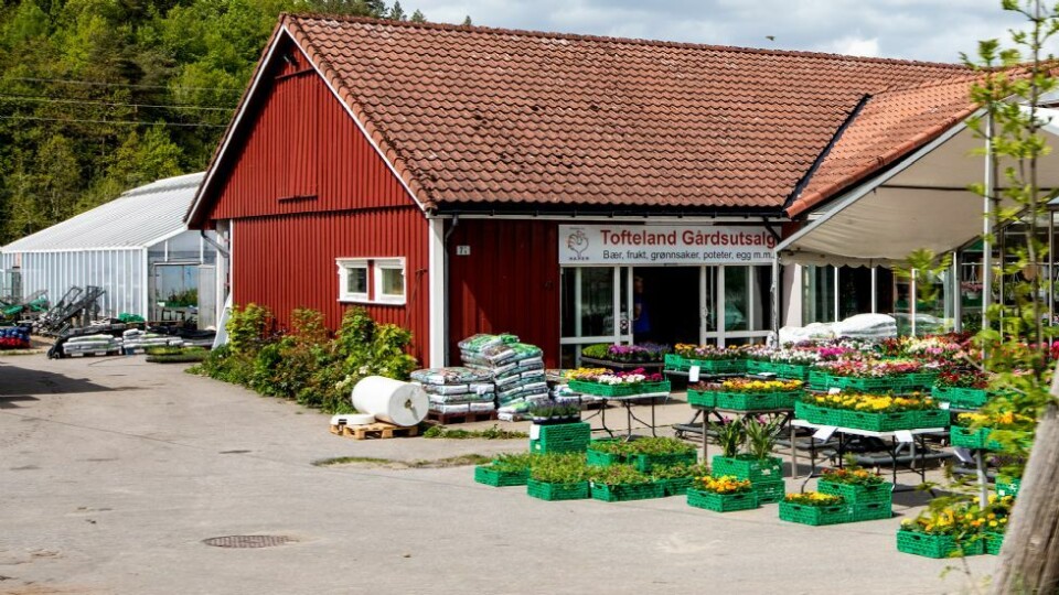Vipsebua på Stauslandstunet har åpnet