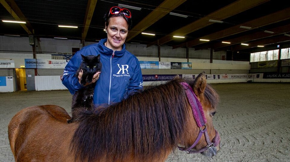 Åpent hus på Åros ridesenter