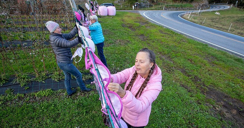 Rosa sløyfe-aksjonen ble til Rosa BH-aksjonen