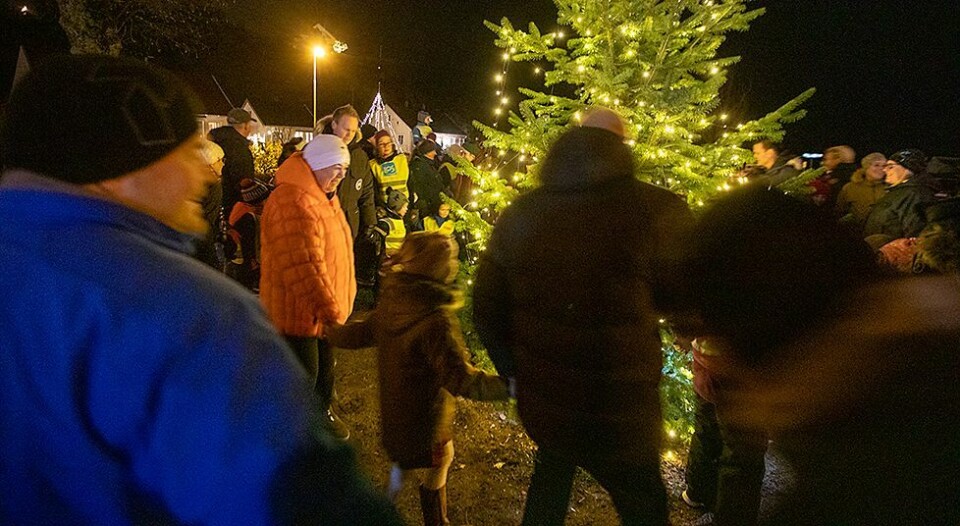 Se glimt fra julegrantenningen i Høllen