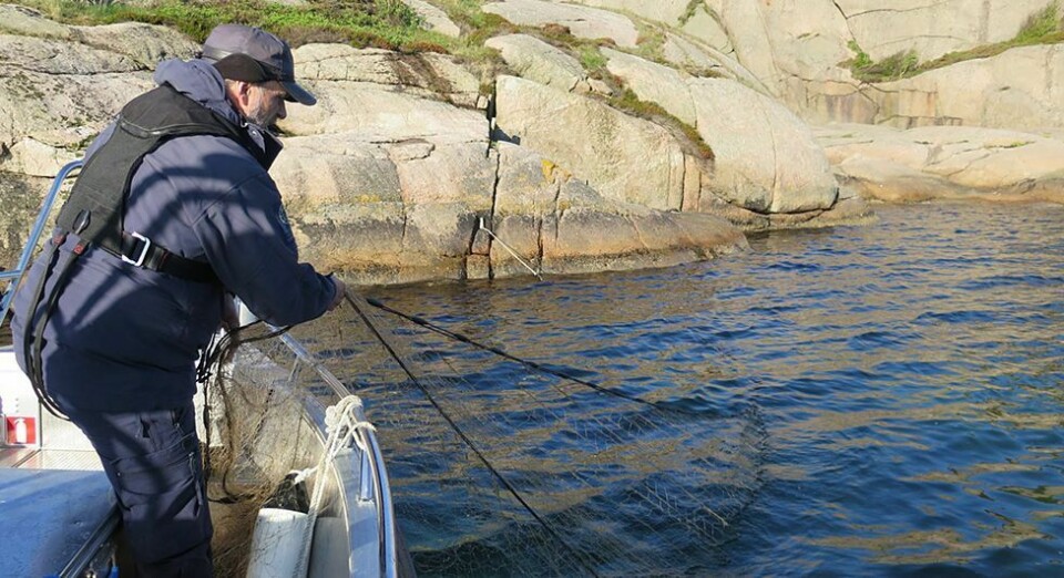 Nå skal garn i sjøen settes på 25 meter eller dypere