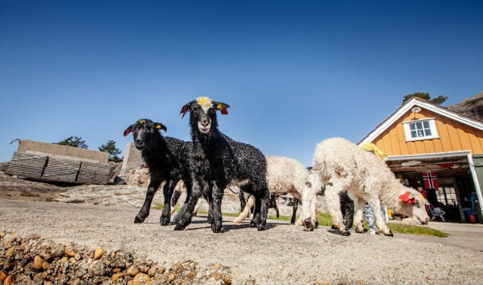 «Da er du kjempeheldig»