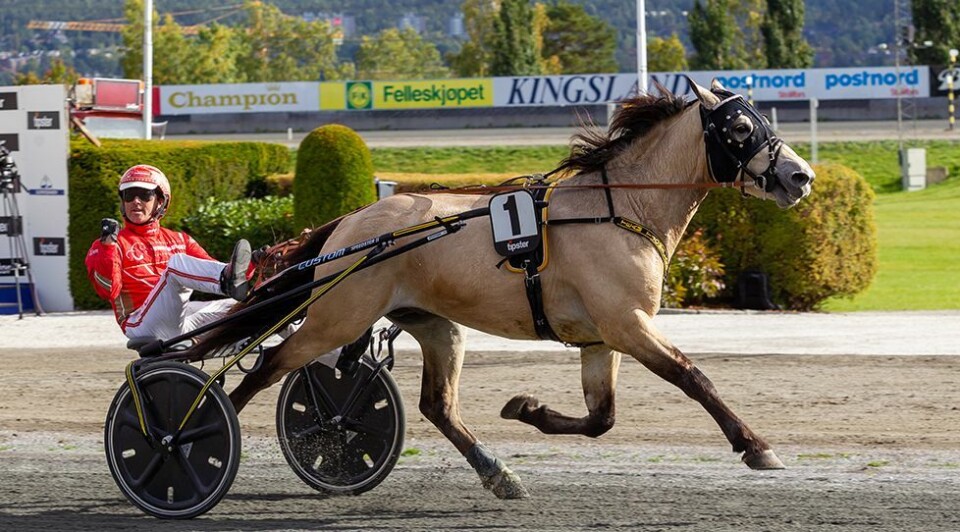 Tjomslands junior best i landet