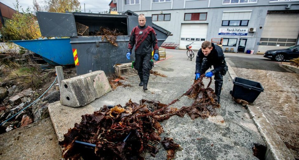 Søndag kom redskap nummer 4.000 opp: - Den var min, sier Anton