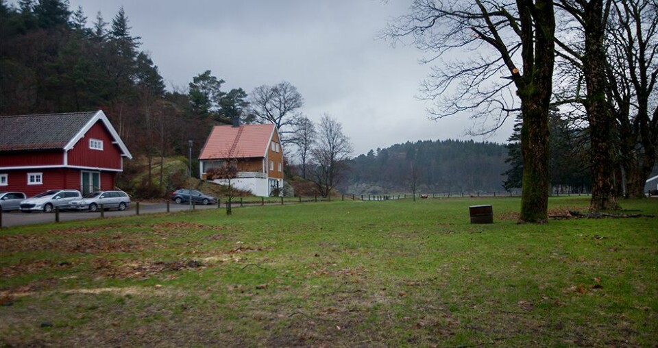 Bygdemuseet: - Har tre til fire alternativer