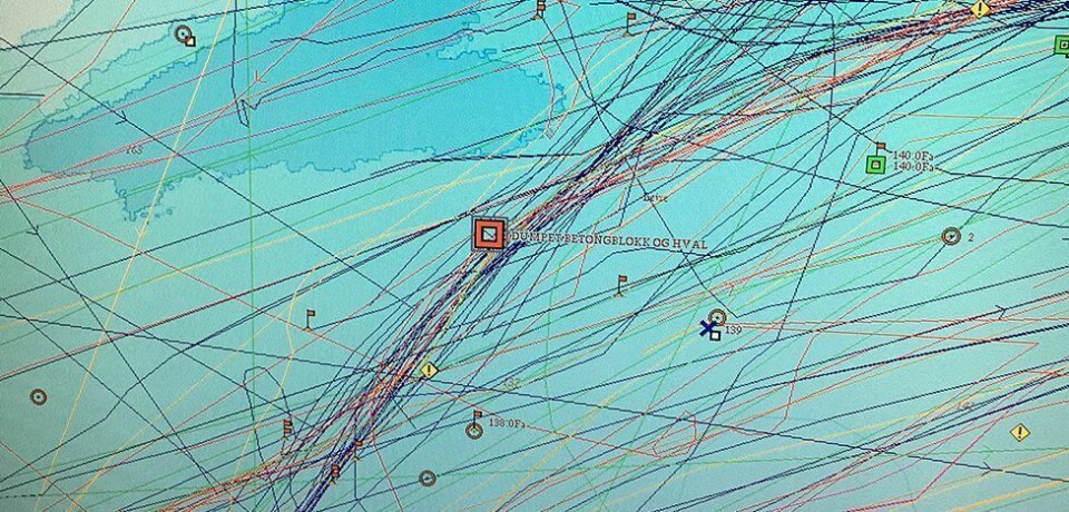 Hvalsaken: - Taper mellom ti og tjue tusen kroner om dagen