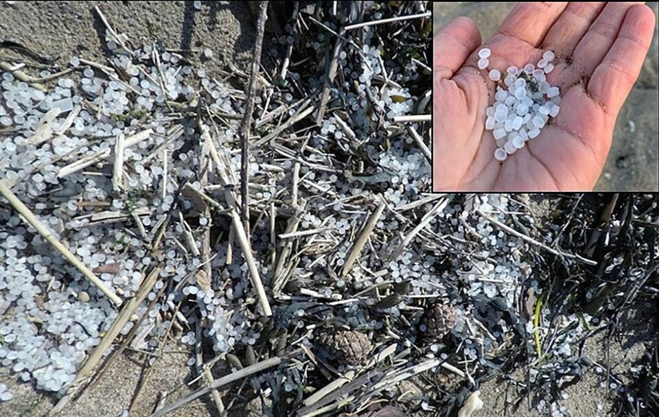 Meld fra om du finner plastpellets langs strendene