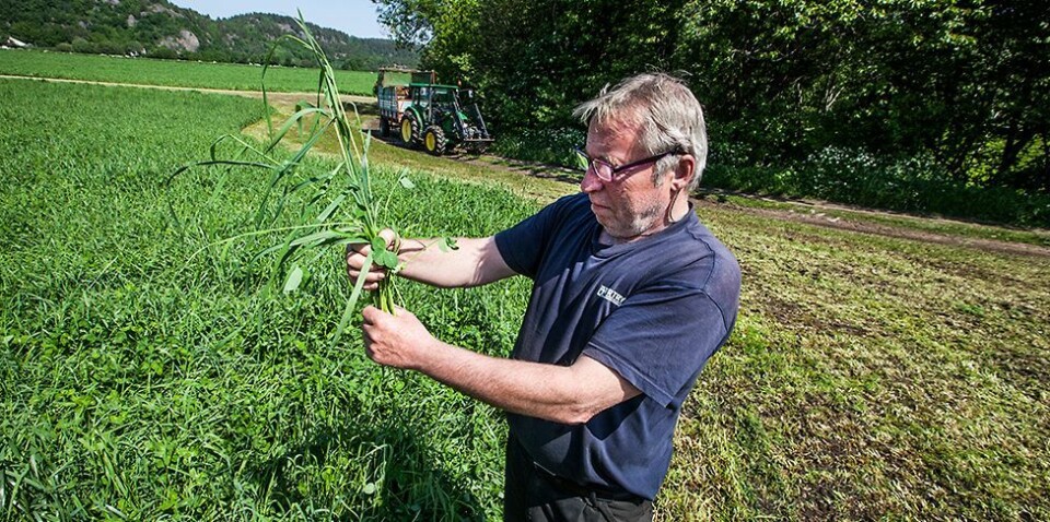 - De æ heilt perfekt