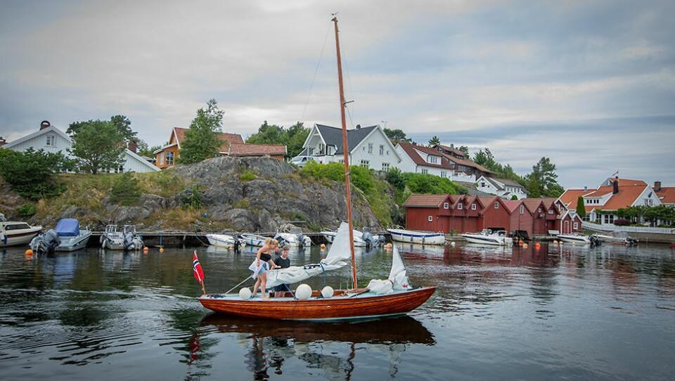 - Lite politikk i dette