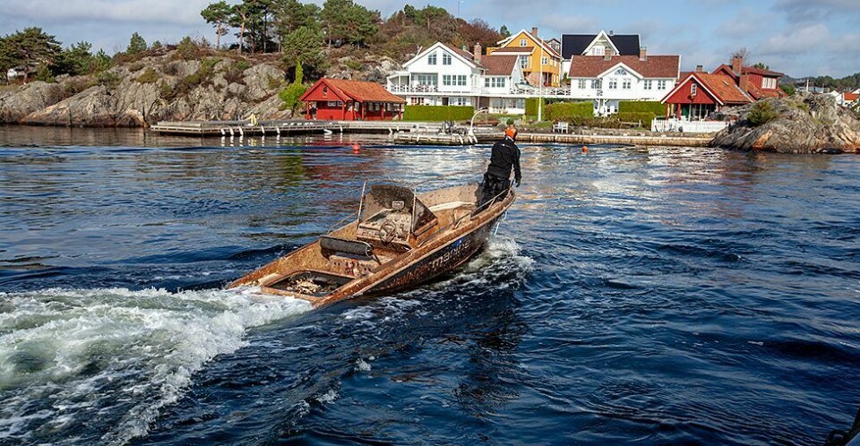 Ned i 2010, opp i 2018