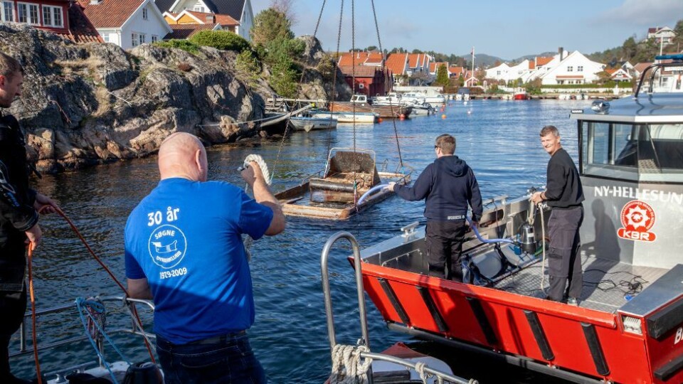 Ned i 2010, opp i 2018