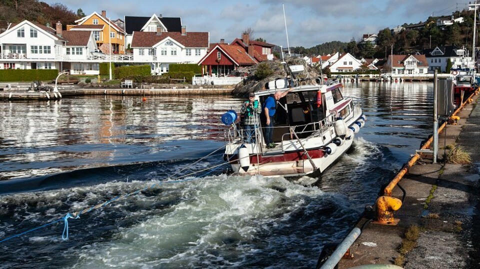 Ned i 2010, opp i 2018