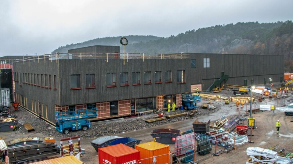 Navn på område med skoler og idrettsanlegg på Tangvall