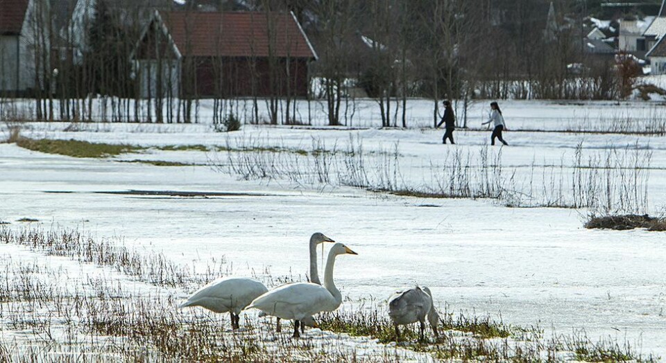 Påskeværet dag for dag