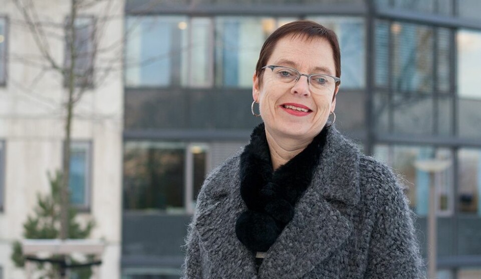 «Lokale nyheter går ikke av moten»