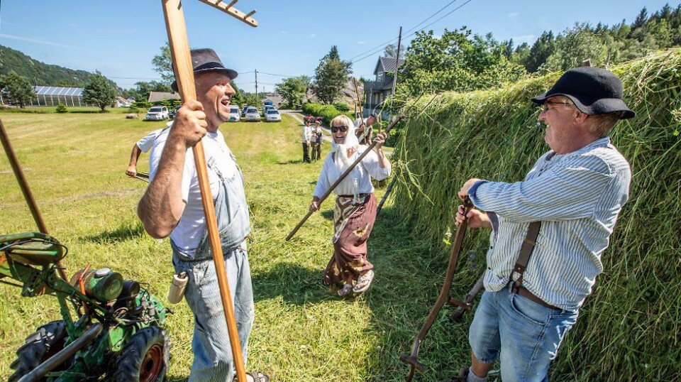 Hesje- og ystefestival anno 1904