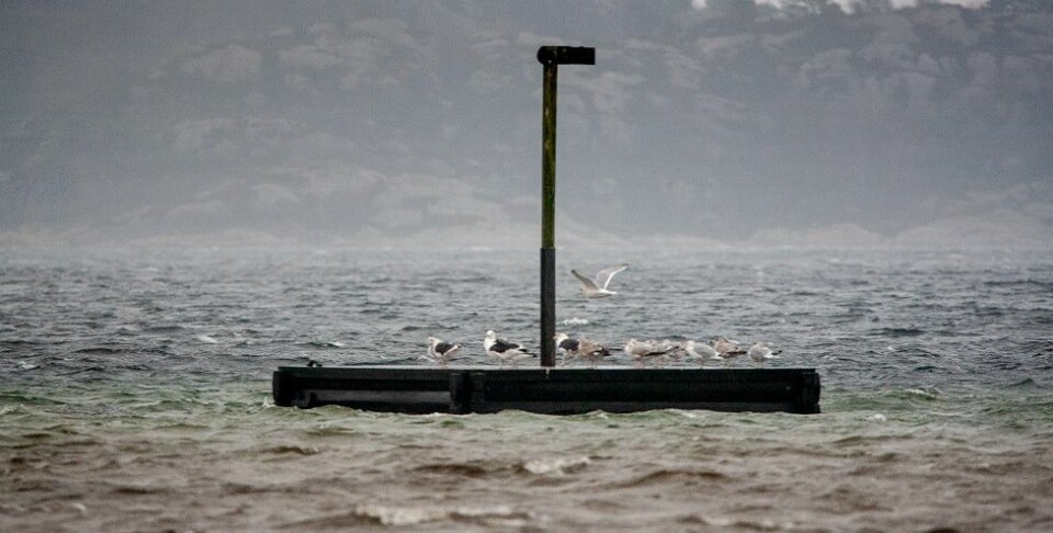 - Våt inngang på helgen